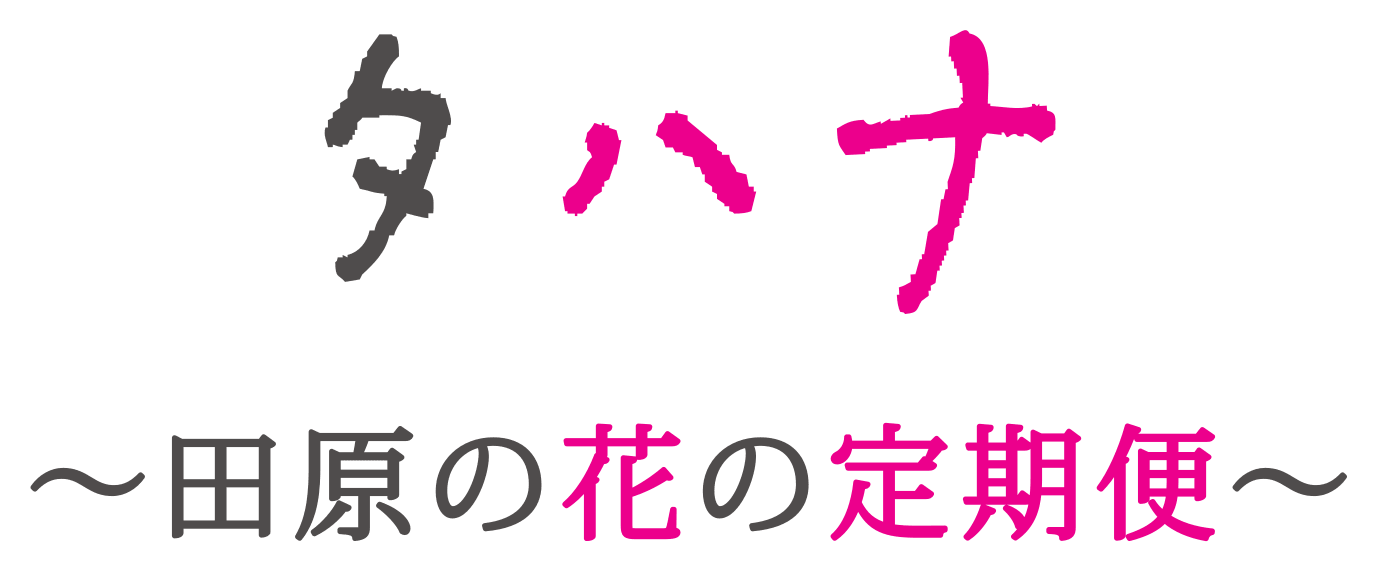 タハナ
