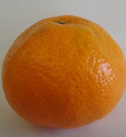 かなだみかん１００％ジュース - 画像 (3)