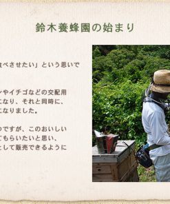 鈴木養蜂園クロガネモチ純粋蜂蜜300g - 画像 (3)