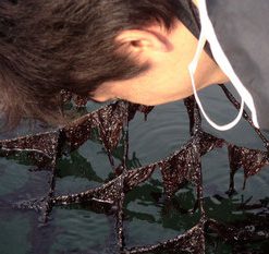 伊藤海苔　焼きキズ海苔　１箱 - 画像 (4)