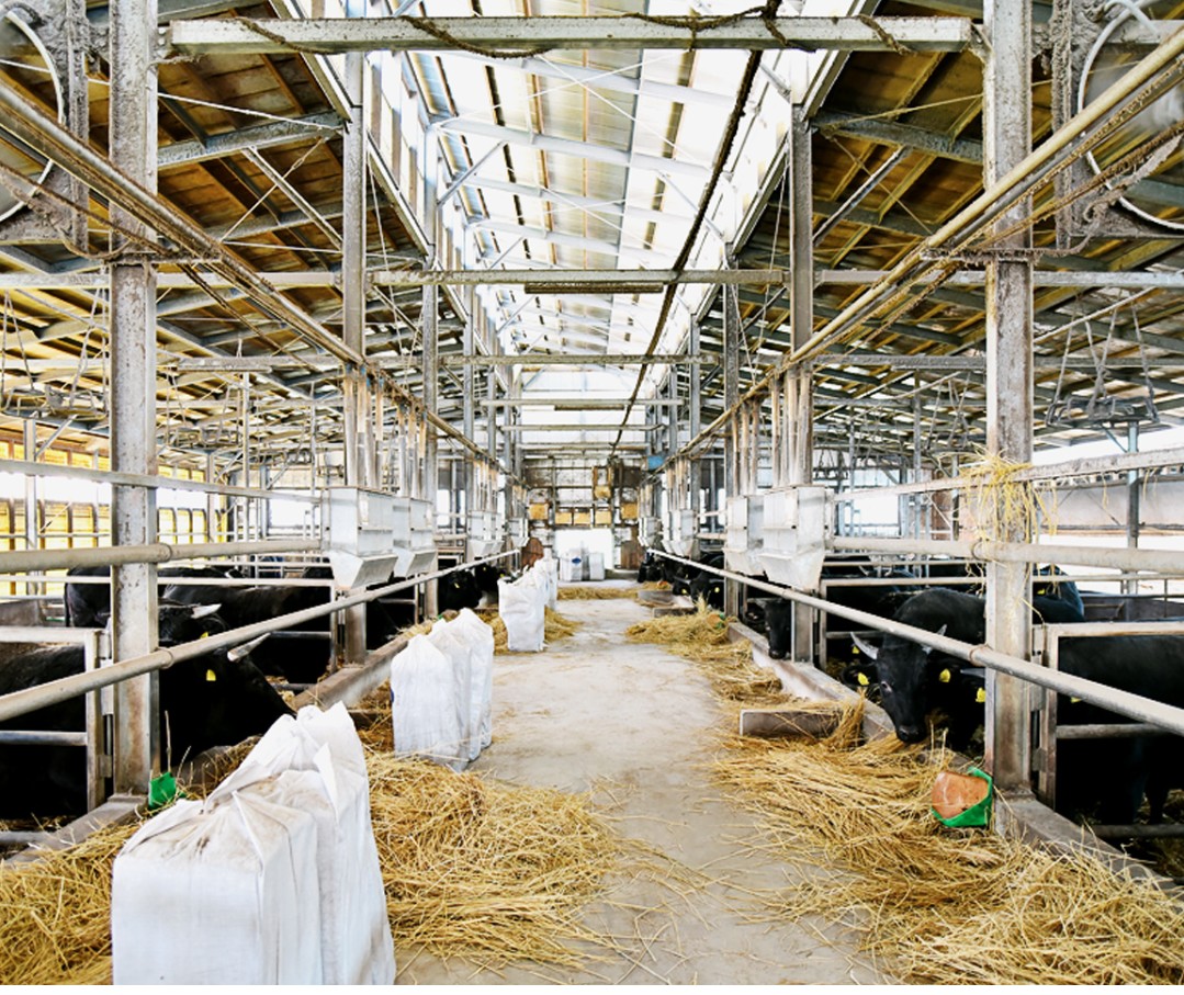 伊良湖黒牛 カレー 公式 田原道の駅 田原めっくんはうす あかばねロコステーション