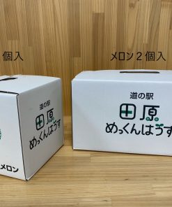 【期間限定】渥美半島の夏！　アールス（マスク）メロン - 画像 (5)