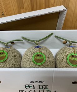 【期間限定】渥美半島の夏！　アールス（マスク）メロン - 画像 (6)