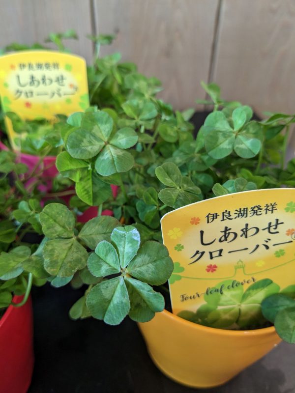 【公式】道の駅 田原めっくんはうす・あかばねロコステーション・伊良湖クリスタルポルト
